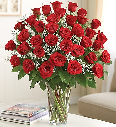 Ultimate Elegance Premium Long Stem Red Roses