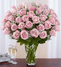 Pretty Pink Roses - 48 roses