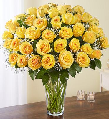 Yellow Roses - 48 roses