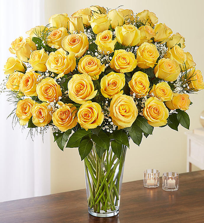 Yellow Roses - 48 roses