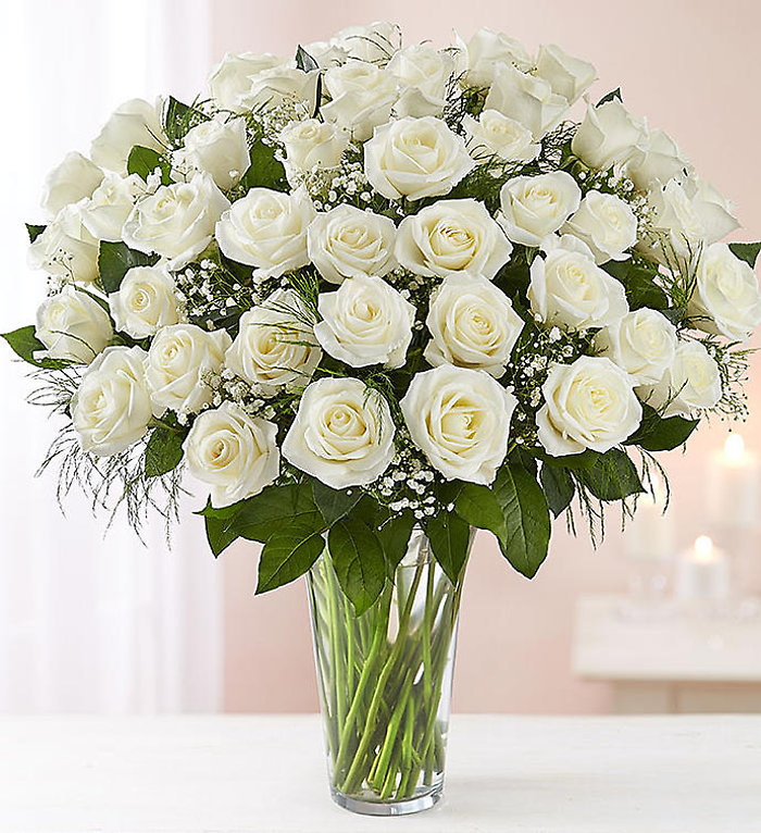 White Roses - 48 roses