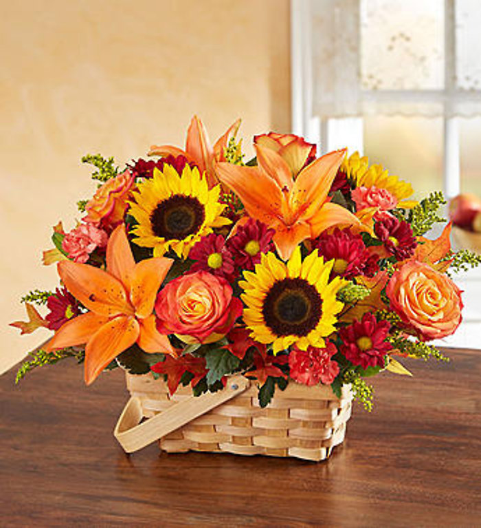 Fields of Europe for Fall Basket