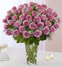 Precious Purple Roses - 48 roses