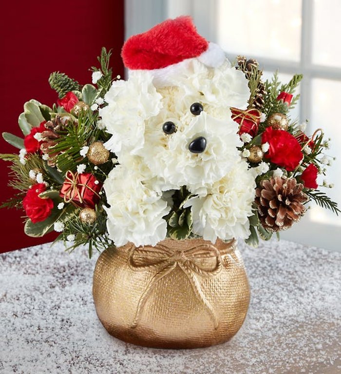 Santa Paws in Santa\'s Bag
