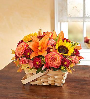 Fields of Europe for Fall Basket