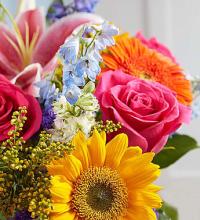 $75 Designer\'s Choice Bouquet - Multicolored